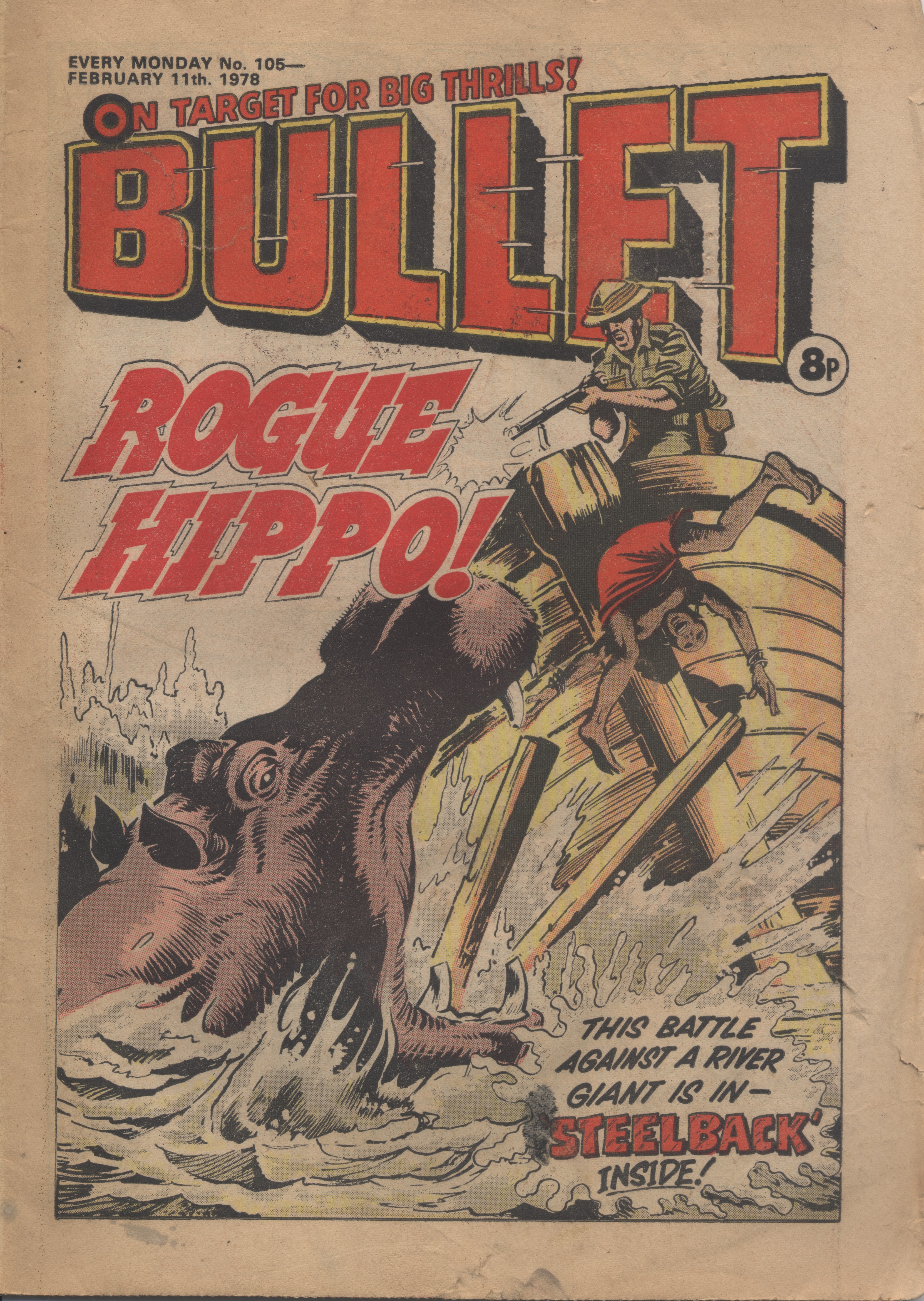 Bullet